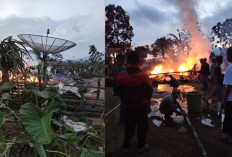 Mobil Damkar Tak Bisa Masuk, 6 Rumah di Dusun Kiwis Raya Hangus 