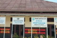 Dukung Produktivitas Pertanian, Dinas Pertanian Ajukan Tambahan 83 Ribu Ton Pupuk Subsidi