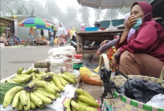 Pasar sepi, Pedagang Pasar Saka selabung pindah keluar 