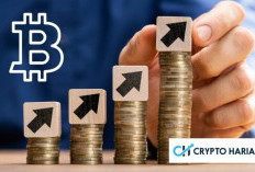 Kenaikan Bitcoin Bebarengan dengan Penguatan Dolar AS, Ada Apa?