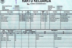 Cara Cek Nomor KK Online, Bisa dari Rumah