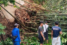 Hujan Deras, Rumpun Bambu Ambrol Tutupi Jalan Desa di OKU Selatan