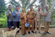 Anjing Peliharaan Bisa Jadi Ancaman Mematikan, Diskanak Beri Peringatan Serius