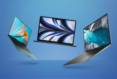Laptop Terbaik 2025: Pilihan Teratas untuk Kerja, Hiburan, dan Kebutuhan Profesional