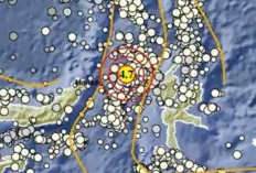 Gempa Bumi Berkekuatan M 4,7 Guncang Halmahera Barat Malut