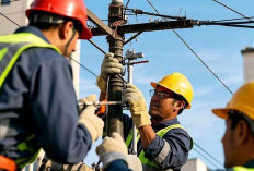 Pemadaman Listrik,Himbawan untuk Masyarakat dan pemilik usaha