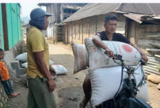 Petani Harapkan Harga Kopi Kembali Naik di Awal Musim Panen