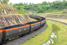 Jalur Kereta Api Gunung Megang-Penanggiran Kembali Pulih Dengan Kecepatan Terbatas