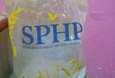 Bulog Sumsel-Babel Salurkan 8.500 Ton Beras SPHP