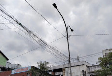 PLN Palembang lakukan pemeliharaan sejumlah titik jaringan listrik ‎