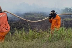 Delapan Daerah di Sumsel Belum Tetapkan Status Siaga Karhutla, BPBD Minta Segera Bergerak Hadapi Musim Kemarau