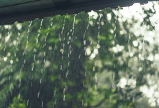 Hujan Lebat di Korsel, Empat Tewas, Ribuan Mengungsi
