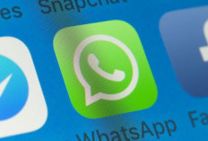Sudah Update WhatsApp? Ini 4 Fitur Baru yang Wajib Kamu Coba