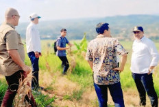 Pemkab OKU Selatan siapkan 5 hektare lahan pembangunan Sekolah Rakyat