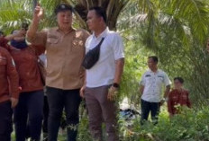 Terkait Dugaan Pencemaran Limbah PT Keza Lintas Buana di Sungai Belumai, DLH OKU Selatan Ambil Sampel Air