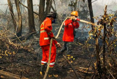 2 Titik Api Ditemukan di Banyuasin