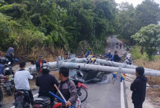 Dua Tiang Listrik di Bibir Pantai Pelangi Danau Ranau Roboh, Akses Jalan Sempat Terhambat