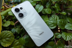 Oppo Reno 13 Segera Meluncur di Indonesia dengan Desain dan Fitur Baru