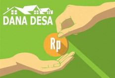 Dana Desa Kabupaten Ogan Komering Ulu Selatan (OKU Selatan) 2025 Total Rp208,1 Miliar, Diharapkan Mendorong Pe