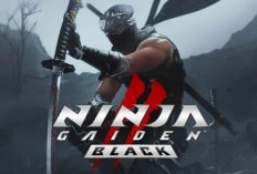 Ukuran Ninja Gaiden 2 Black PC: Terlalu Besar?