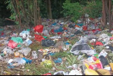 Kondisi Jalan ke Danau Ranau Memprihatinkan: Sampah Berserakan dan Bau Busuk