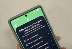 WhatsApp Plus Resmi Hadir di Indonesia, Langganan Mulai Rp 13.900 per Bulan