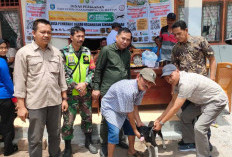 Dinas Peternakan Imbau Pimilik Anjing Divaksin Rabies