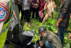 Kecelakaan Maut di OKU Timur, Ibu Muda dan Balita Tewas Usai Terjatuh ke Lubang Jalan