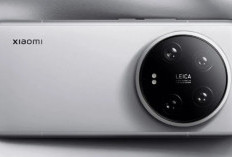 Bocoran Spesifikasi Xiaomi 15 Ultra: Snapdragon 8 Elite dan Kamera Leica Quad-Camera