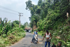 Warga Simpang Pendagan Gotong Royong Bersihkan Rumput Liar Demi Keselamatan Pengguna Jalan