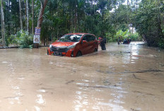 Banjir di Dusun 3 Desa Karang Agung Sebabkan Kemacetan dan Kerusakan Kendaraan