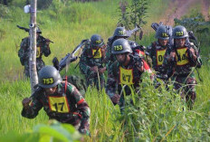 Operasi Habema: TNI Bebaskan Kampung Soanggama dari Cengkraman OPM