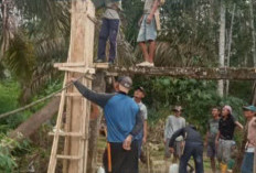 Hari Keempat Gotong Royong, Warga Desa Padang Lay Kompak Bangun Jembatan Merunggak Secara Swadaya