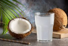 Manfaat Kelapa untuk Kesehatan dan Kehidupan Sehari-hari