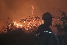 Kebakaran Lahan, Kabut Asap Selimuti Jalan Lintas Palembang-Indralaya