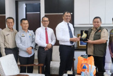 BNPB Sumsel Bahas Pemulihan Pascabencana Bersama Bupati OKU Selatan