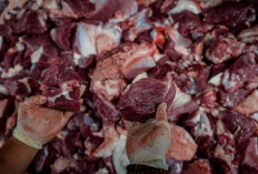 Apakah Boleh Daging Kurban Diberikan kepada Tetangga Nonmuslim?  Baca artikel detikhikmah, 