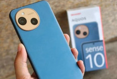 Review Sharp Aquos Sense10: Smartphone Kompak dengan Performa Mumpuni di Kelas Rp 6 Jutaan