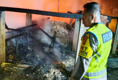 Innalilahi, Kebakaran di OKU Timur, Empat Anak Tewas Terjebak Api