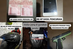 Petugas Tangkap Pria Bersenpi Mainan yang rampok ART dan 6 Bocah Laki-laki