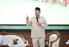 Menteri ATR Ingatkan Kepala Daerah Tak Alihfungsi Sawah LP2B