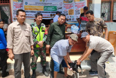 Cegah Rabies, Dinas Peternakan Himbau Pemilik Anjing Lakukan Vaksin