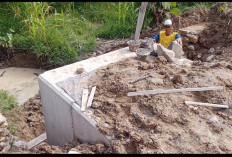 Diduga Tak Transparan, Proyek Gorong-Gorong di Desa Bumi Jaya Tanpa Plang Informasi Tuai Sorotan Warga