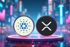 US$ 1.000 di XRP atau Cardano untuk 5 Tahun ke Depan? ChatGPT dan Google Gemini Menyatakan Pilihan Mereka