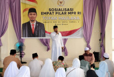 Tofan Maulana Sosialisasikan 4 Pilar MPR RI di Desa Pulau Beringin