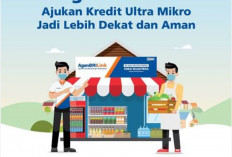 Pinjaman UMi BRI: Mudahnya Ajukan Kredit Ultra Mikro lewat Agen BRILink