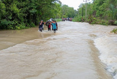 Banjir di Belitang III OKU Timur, Akses Jalan Terputus dan Rendam Kebun Warga