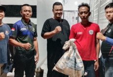 Masuk Rumah Warga, Ular Kobra di Talang Kates Berhasil Dievakuasi Disdamkarmat OKU Selatan