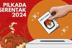 Mendagri Ungkap Ada 5 Pj Yang Mundur Karena Maju Pilkada 2024