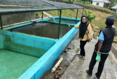 Dinas Perikanan OKU Selatan Perketat Pengawasan Balai Benih Ikan di Warkuk Ranau Selatan